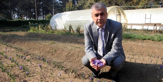 Bin derde deva! Fiyatı ise cep yakıyor