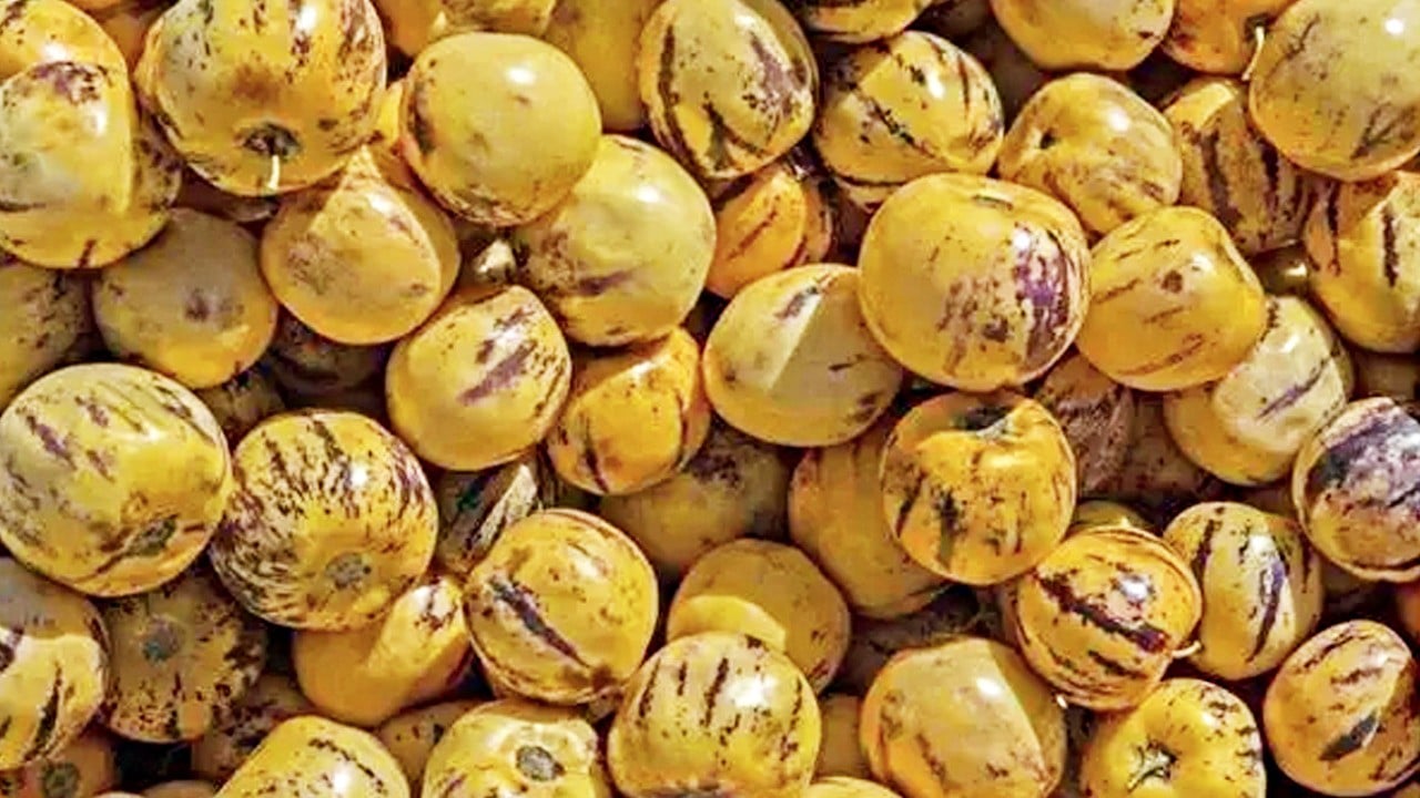 Bin derde deva meyve: Tam bir C vitamini! Kilosu 120 TL