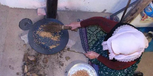 Bin yıllık kuruyemiş kavurga: Avrupalılar kapış kapış alıyor, kilosu 70 lira...Kadın girişimcilere iş fikirleri