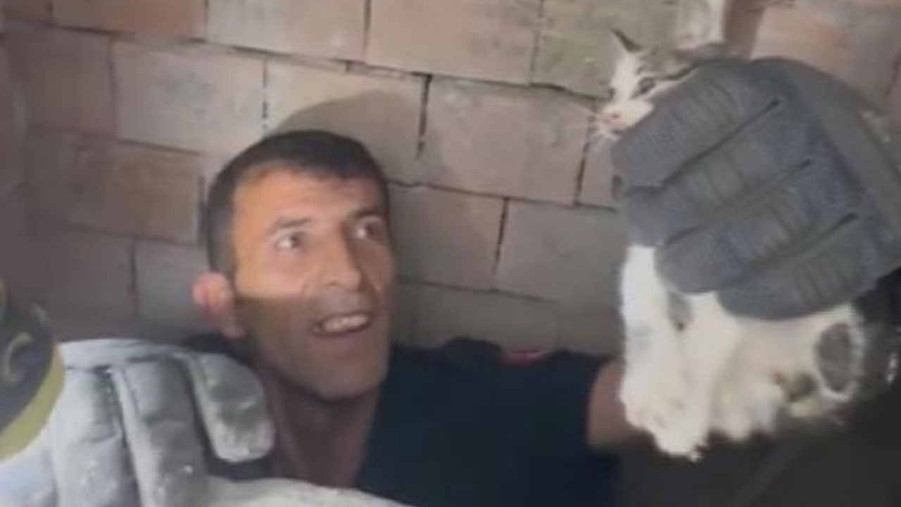 Bina boşluğuna düşen yavru kediyi itfaiye kurtardı