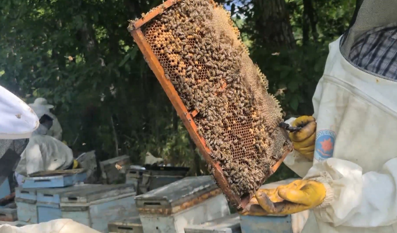 Bingöl Balı, Avrupa Birliği’nin tescillediği ilk bal oldu