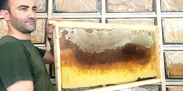 Bingöl balı işaretleniyor