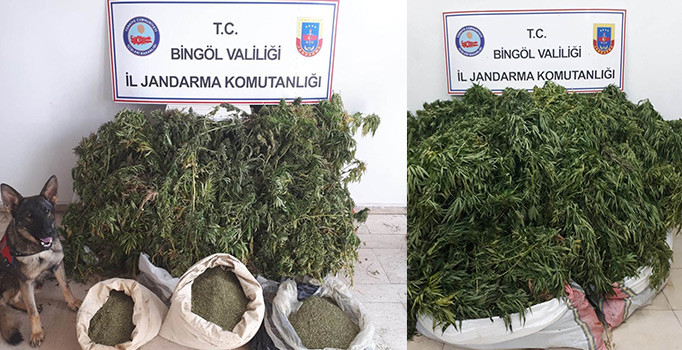Bingöl’de 158 kilo esrar ele geçirildi