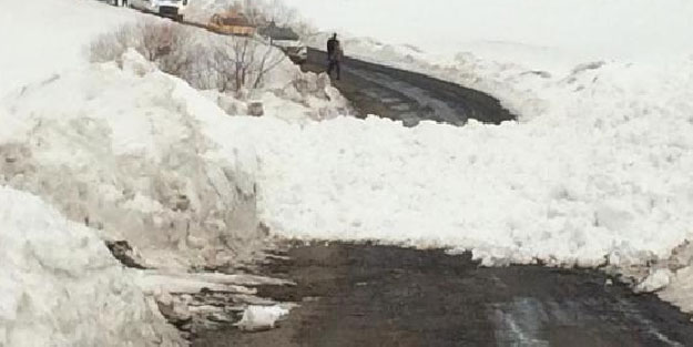 Bingöl'de 3 noktaya çığ düştü! 30 araç yolda kaldı