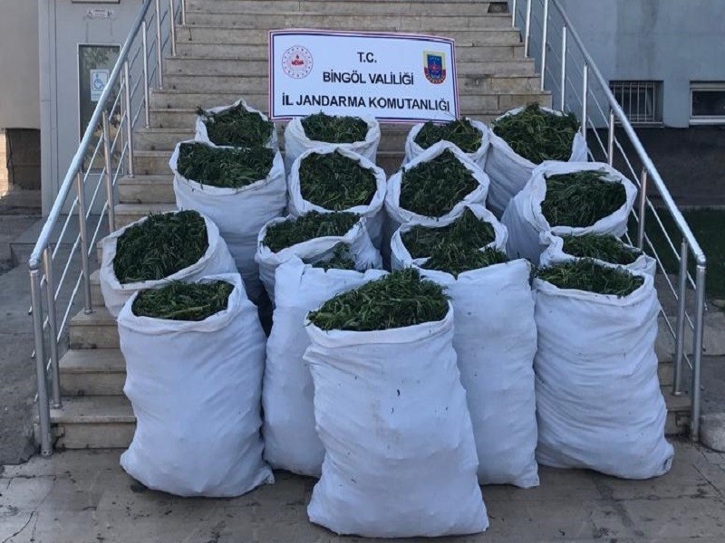 Bingöl’de 89 kilo esrar ve 270 bin kök kenevir ele geçirildi 