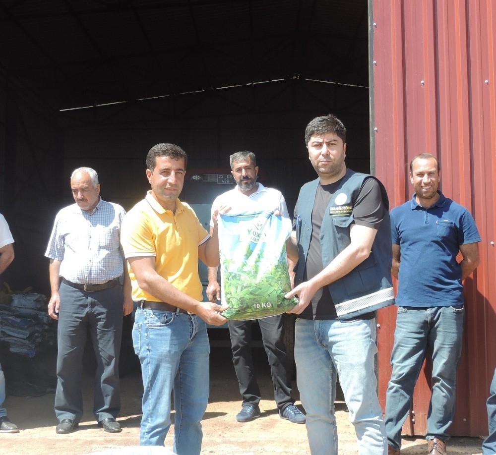 Bingöl’de çiftçilere 2 ton yonca tohumu dağıtıldı 