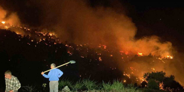 Bingöl’de çıkan orman yangını kontrol altına alındı