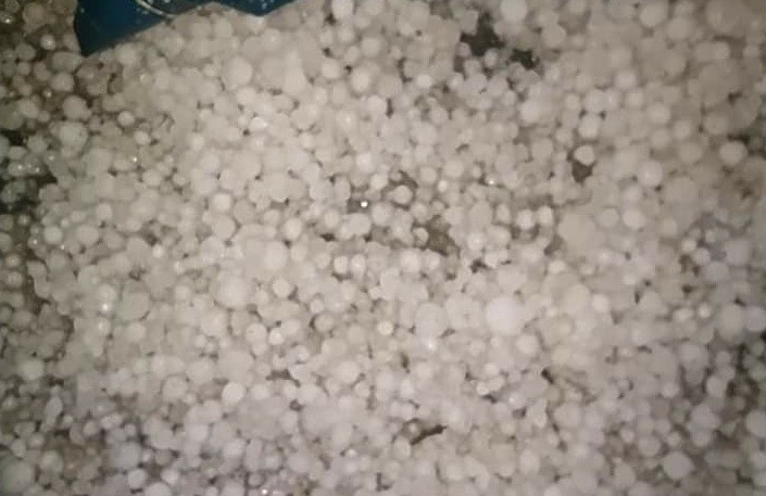 Bingöl’de dolu, bahçelere zarar verdi 