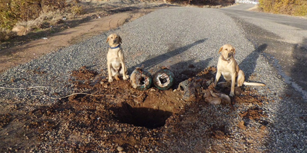 Faciadan dönüldü! Yola döşenen patlayıcı...