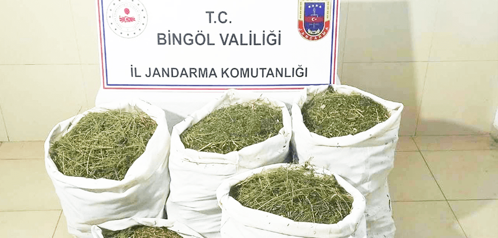 Bingöl’de esrar kenevir ve silah ele geçirildi