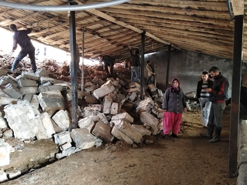 Bingöl’de heyelanda ahır çöktü, 8 inek telef oldu 