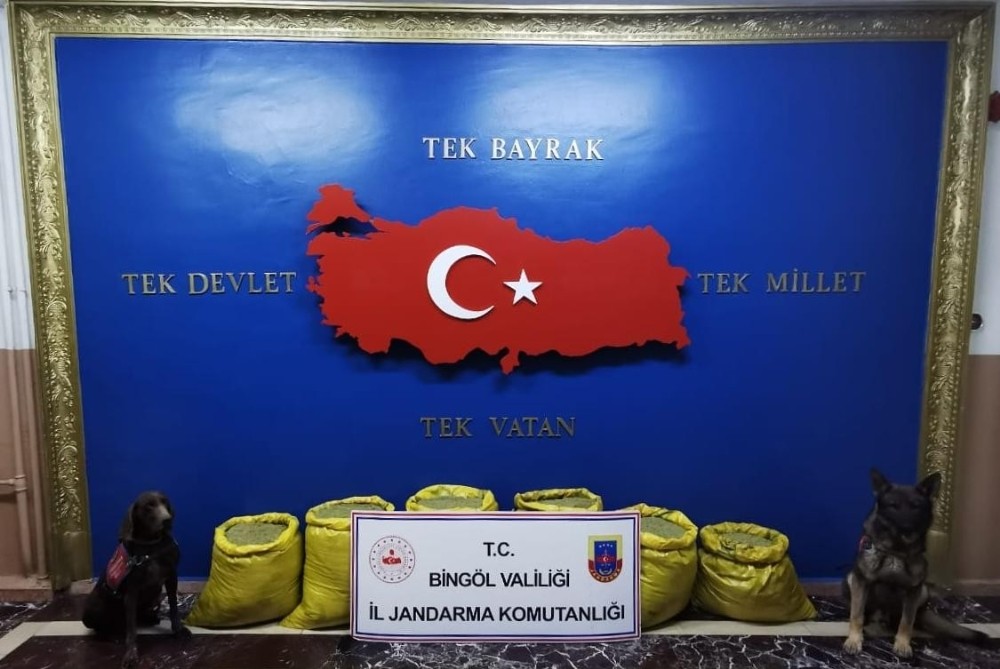 Bingöl’de İl Jandarma Komutanlığı 3 operasyonda 664 kilo uyuşturucu ele geçirildi 