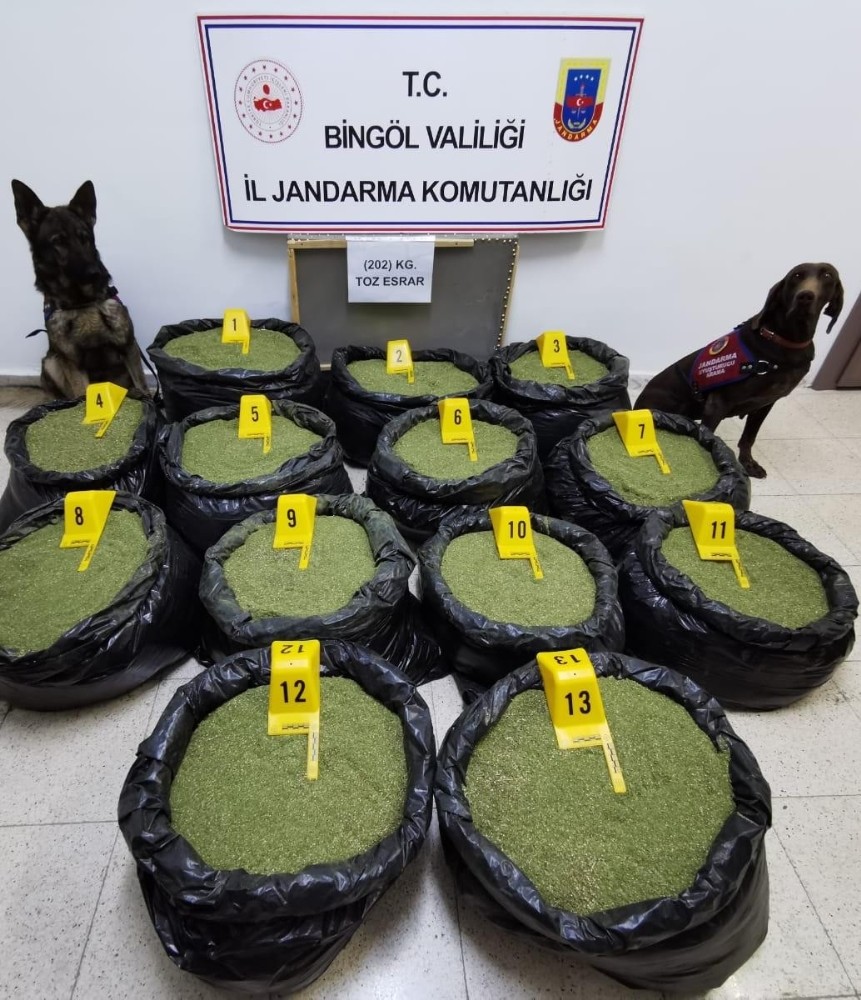 Bingöl’de jandarma, 202 kilo toz esrar ele geçirildi 