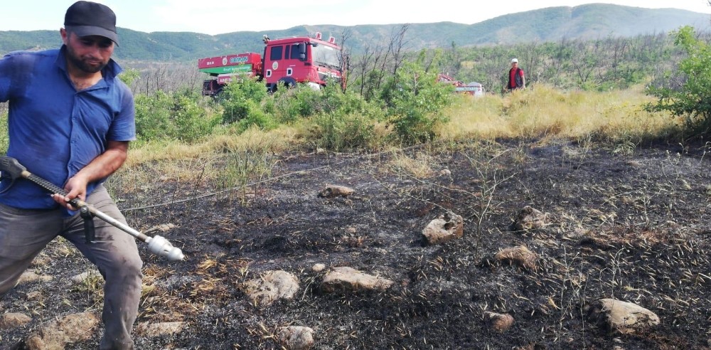 Bingöl’de ormanlık alanda çıkan yangın, büyümeden söndürüldü 