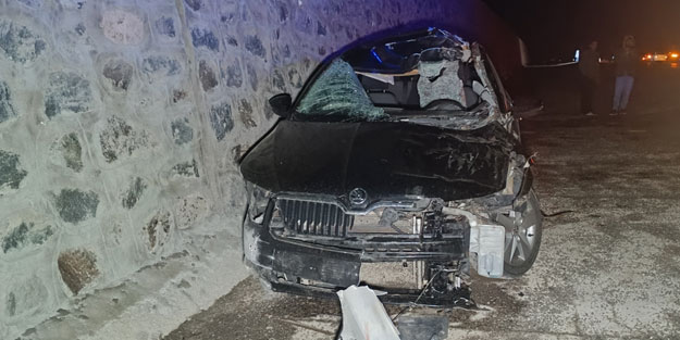 Bingöl'de otomobil ata çarptı: 1 ölü, 5 yaralı