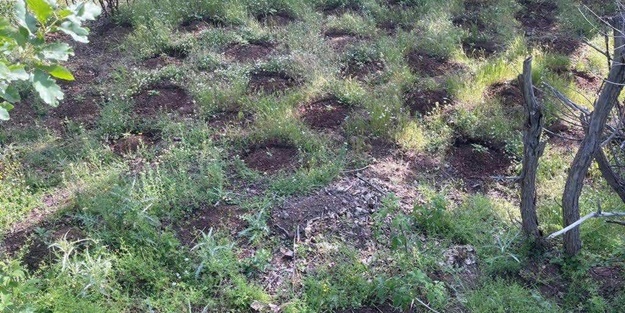 Bingöl’de PKK'ya operasyon! İşte ele geçirilenler