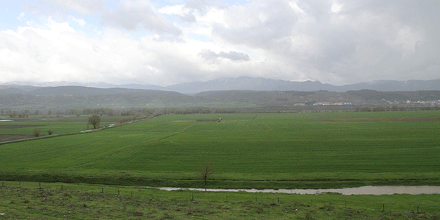 Bingöl’de sağanak yağış sonrası tarım arazileri incelendi