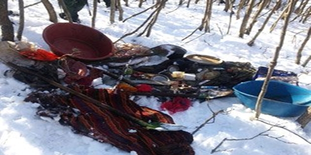 Bingöl'de terör operasyonu