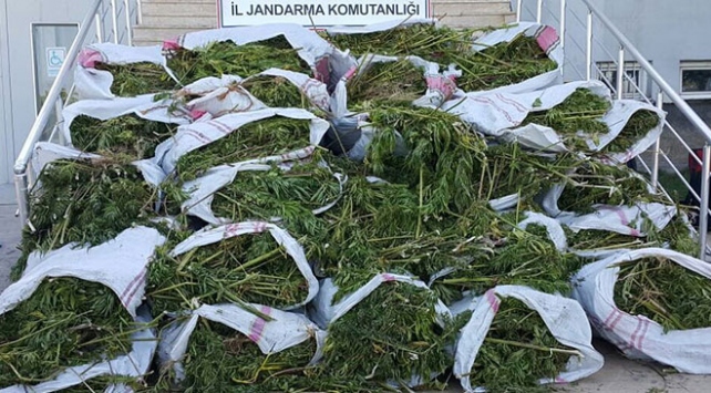 Bingöl'de uyuşturucu operasyonu: 4 kişi gözaltına alındı