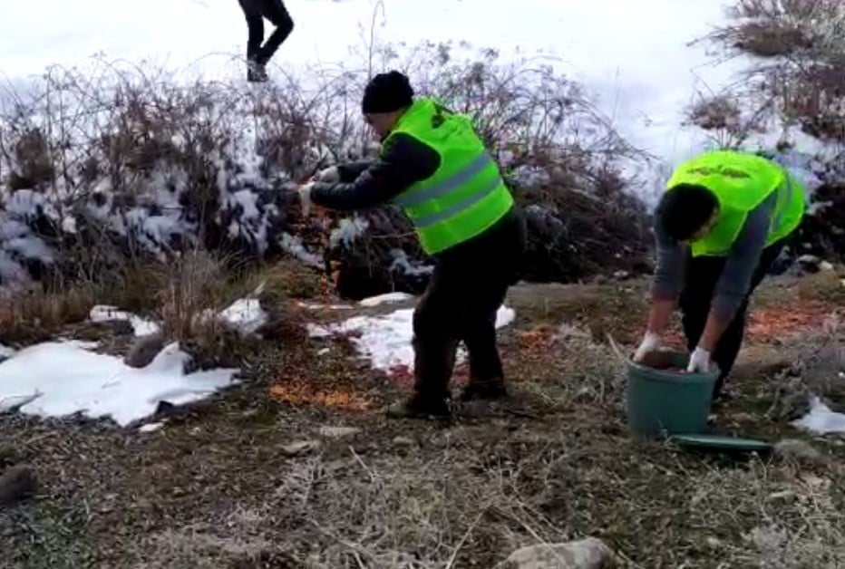 Bingöl’de yaban hayvanları için doğaya yem bırakıldı 