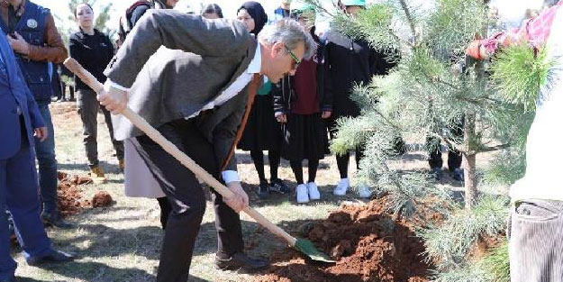 Bingöl'deki 'Adalet Ormanı'na 180 fidan dikildi