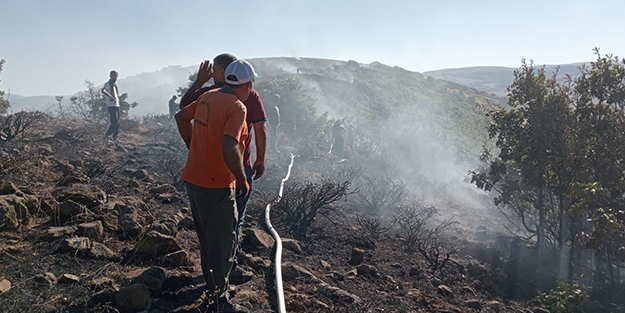 Bingöl’deki orman yangını kontrol altına alındı