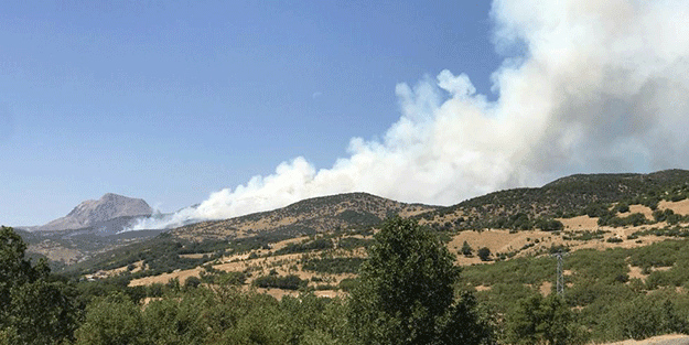 Bingöl'deki orman yangınında sıcak gelişme