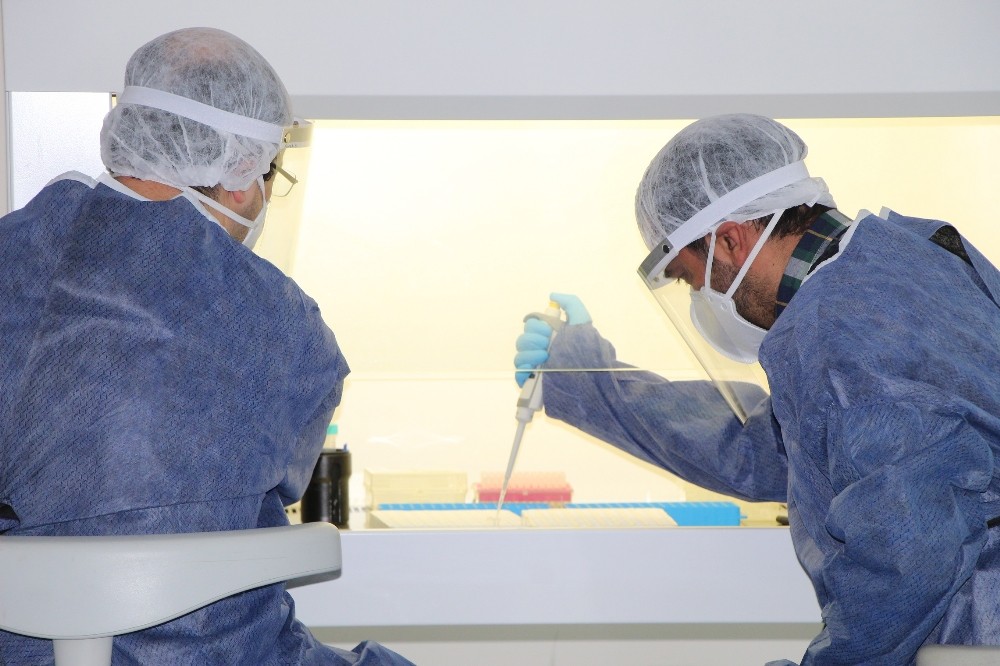 Bingöl’e Covid-19 test Laboratuvarı kuruldu, testler yapılmaya başlandı 