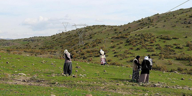 Düşen meteor gelir kapısı oldu