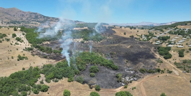 Bingöl’ün 2 ilçesinde orman yangını