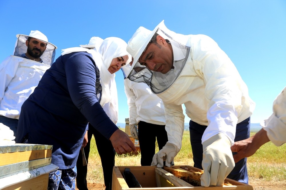 Bingöl’ün balına değer katacak proje 