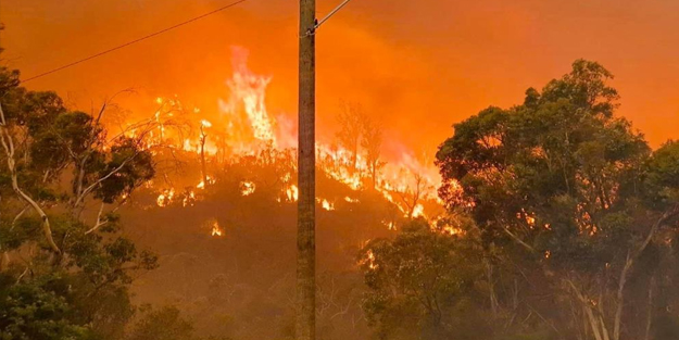 Binlerce hektarlık arazi küle döndü! Avustralya yanıyor