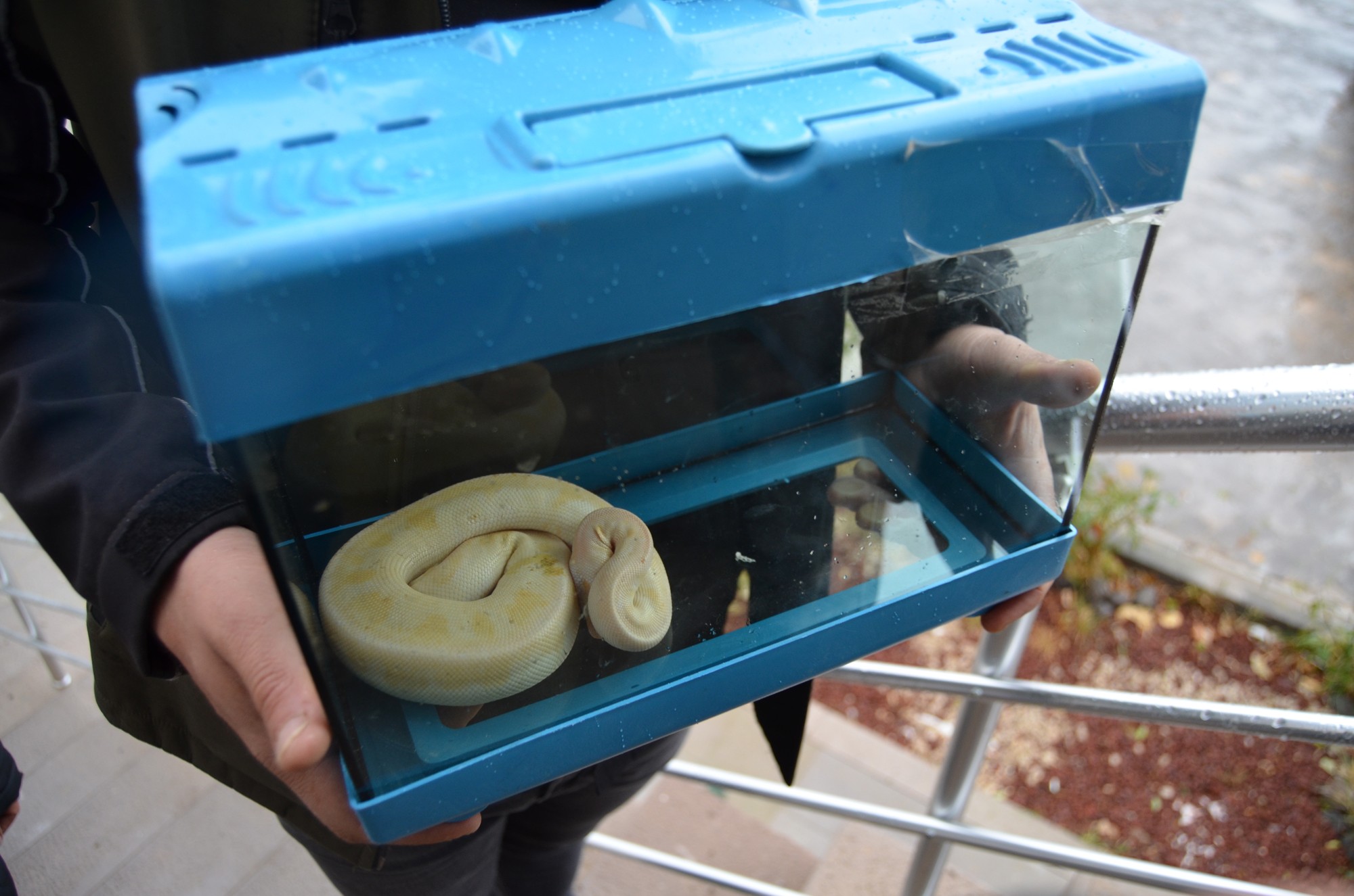 Binlerce liraya satacaktı... Suçüstü yakalandı!