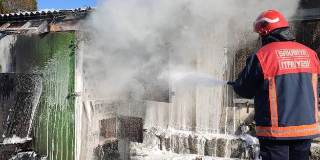 Binlerce tavuk telef olmaktan son anda kurtarıldı