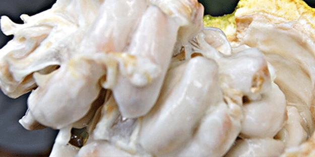 Binlerce yıl önce ilaç olarak kullanıldı 1 çay kaşığı tüketmek yeterli