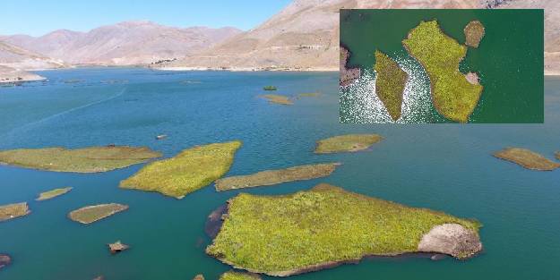 Binlerce yılda oluşan yüzen adaların su altı yapısı ilk kez görüntülendi