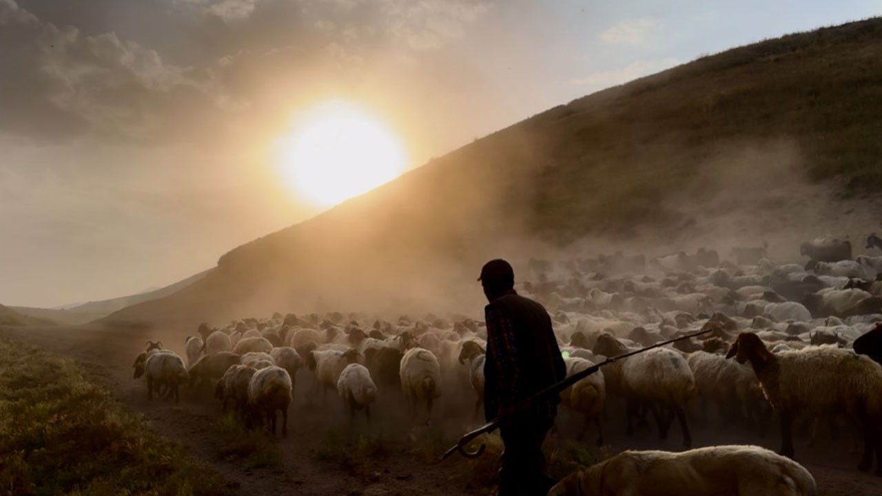 Binlercesi yaylaya yürüdü! Nemrut’un eteklerinde tozlu göç