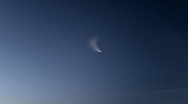 Bir anda belirdi! Herkesi korkuttu