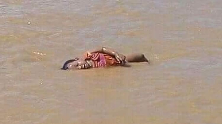 Bir Aylan bebek vakası daha