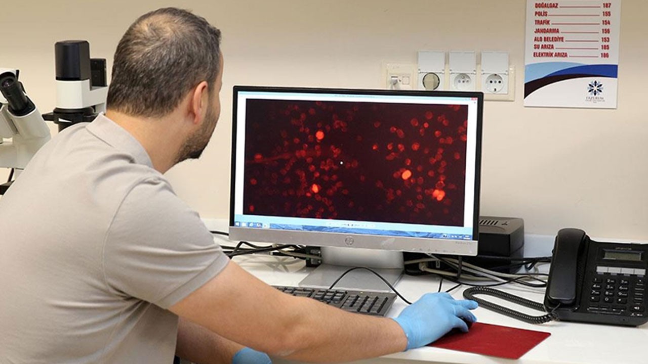 Bir damla kanda Alzheimer şifresi