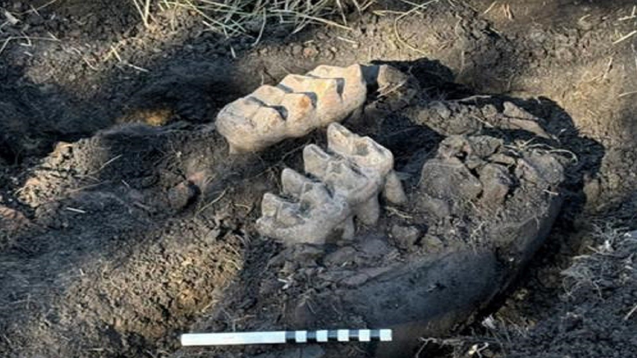 Bir evin bahçesinde bulundu! ABD’de 10 bin yıllık keşif