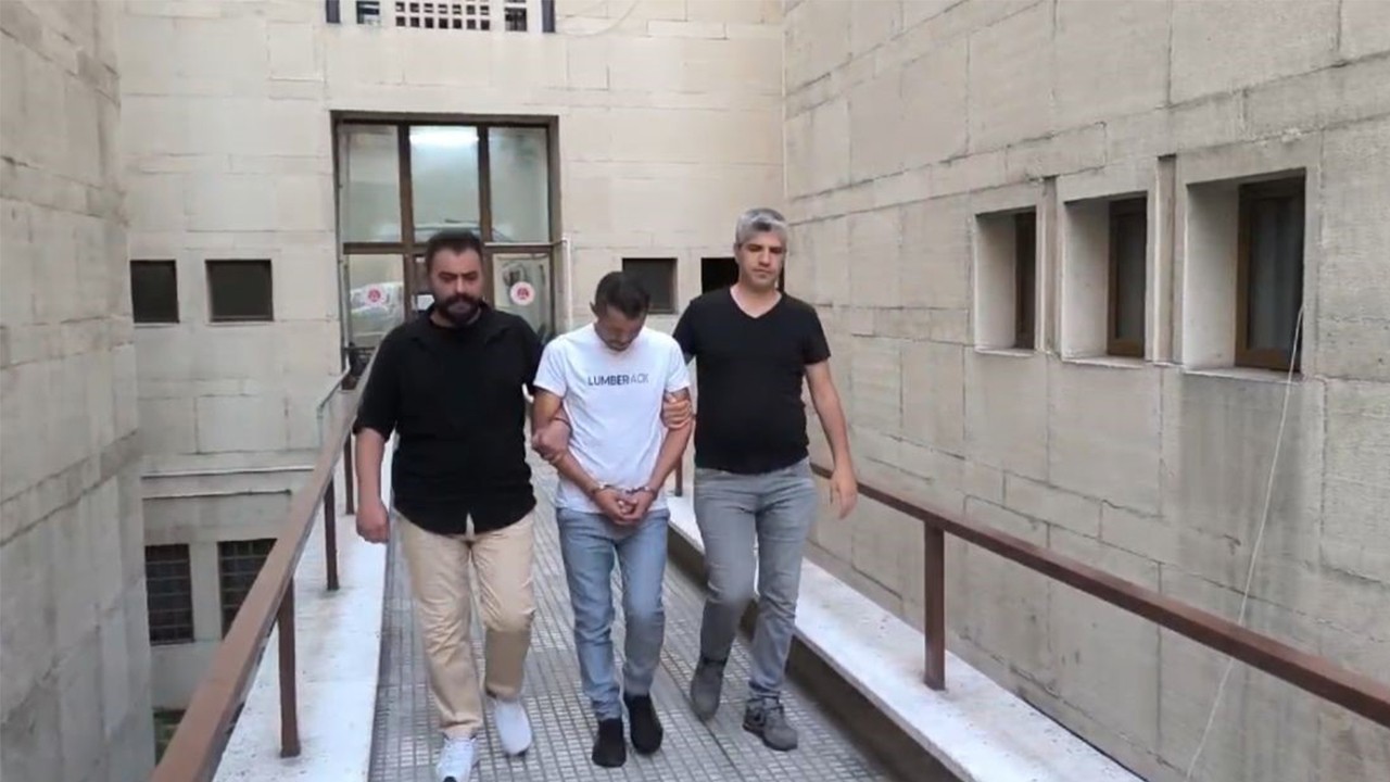 Bir fare enselendi ortalıkta daha da olabilir! Ev kiralayanlar bu tuzağa dikkat