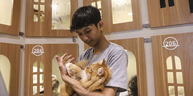 Bir garip iş! Böyle otel olur mu demeyin oluyormuş