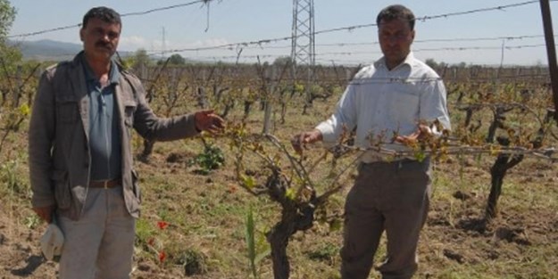 Türkiye 50 yıldır böylesini görmedi