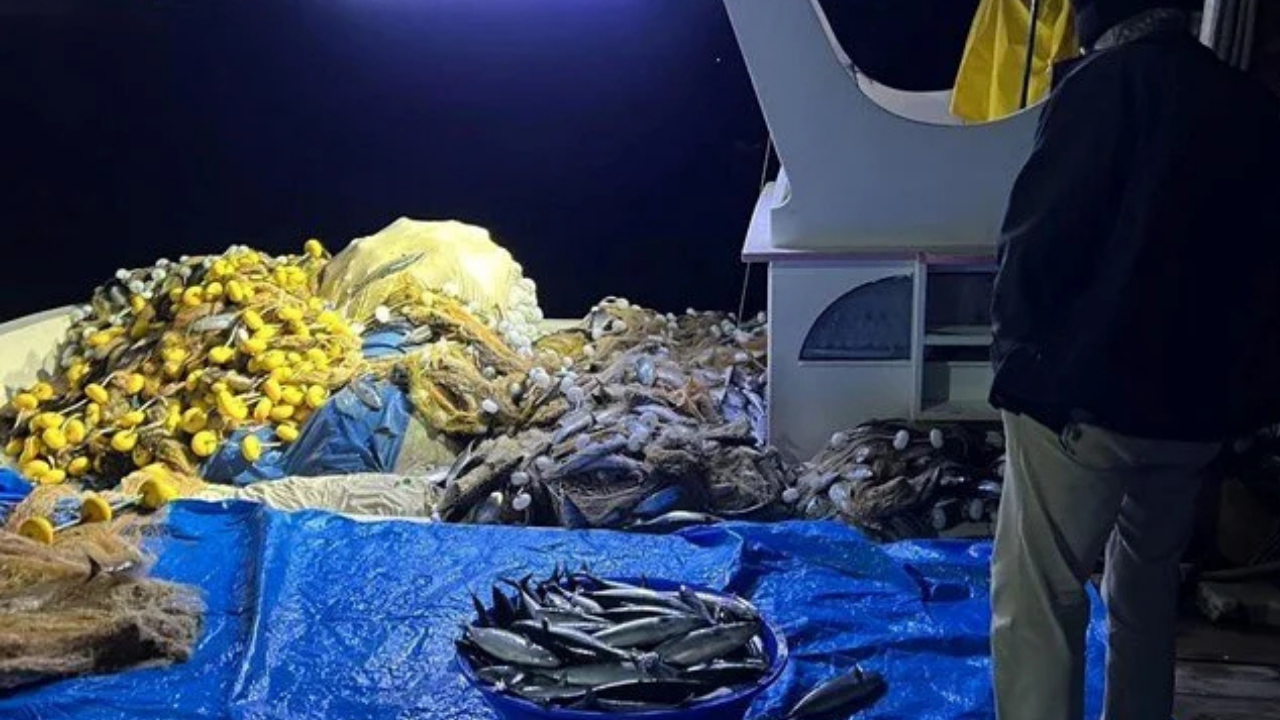 Bir gecede binlerce balık avladı