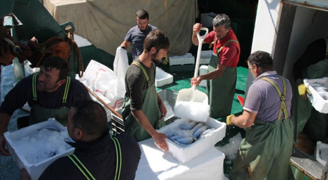 Bir gecede bütün kasalar doldu! Fiyatlar inecek