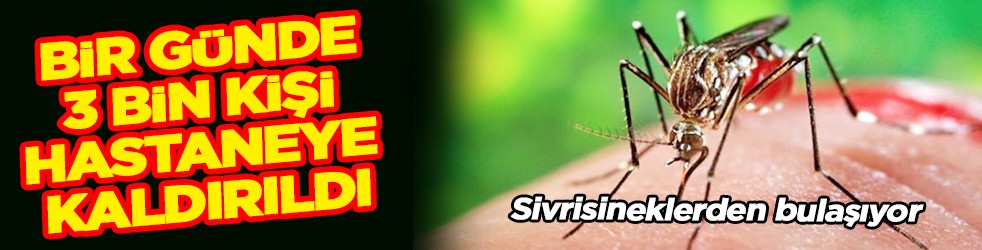 Bir günde 3 bin kişi hastaneye kaldırıldı