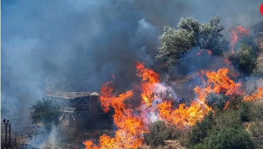 Bir günde 47 yangın olur mu? Bu işte bir iş var… Bakan açıkladı: Gözaltılar var