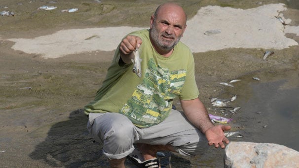 Bir günde bu hale geldi! İnanamadılar