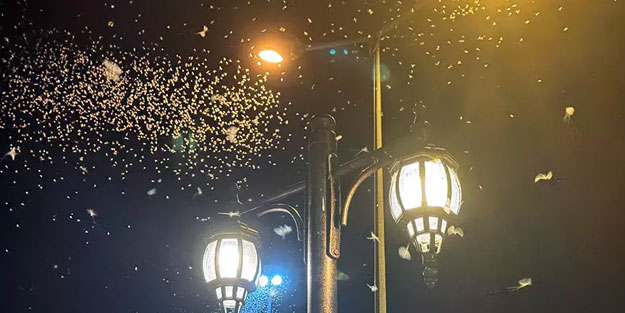 'Bir günlükler'in ölüm uçuşu erken başladı